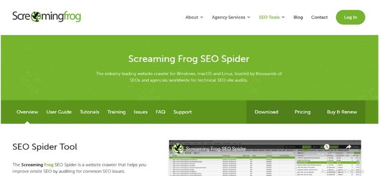 SEO Tools for Small Business 