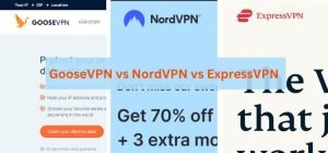 GooseVPN vs NordVPN vs ExpressVPN