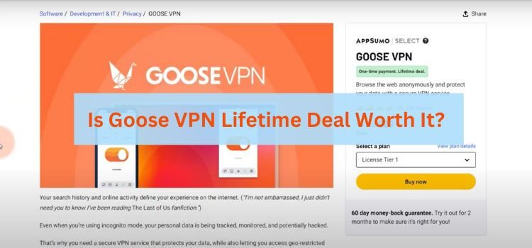 Is Goose VPN Lifetime Deal Worth It