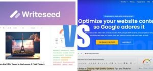 WriteSeed vs NeuronWriter
