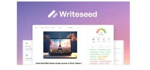 Why Choose Writeseed for SEO Content