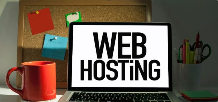Web Hosting Guide: 