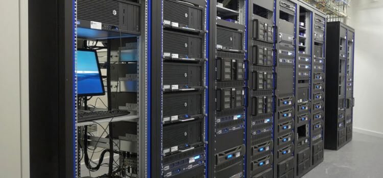Web Hosting