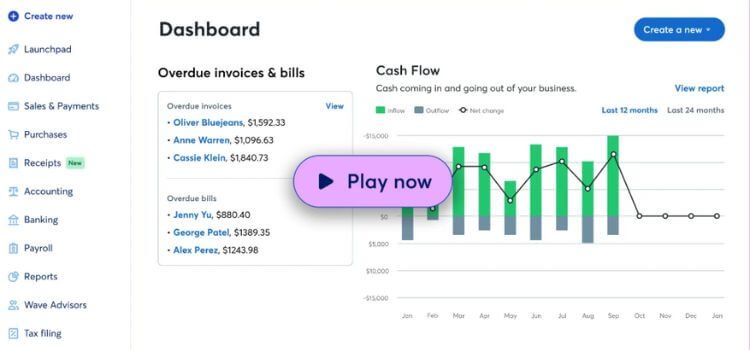 Wave Payroll Review