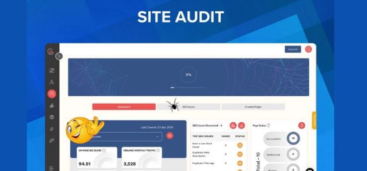 RanksPro Lifetime Deal