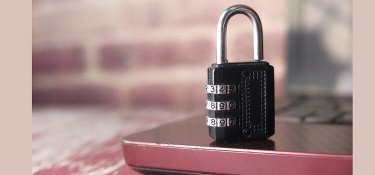 Secure Password Managers for Families