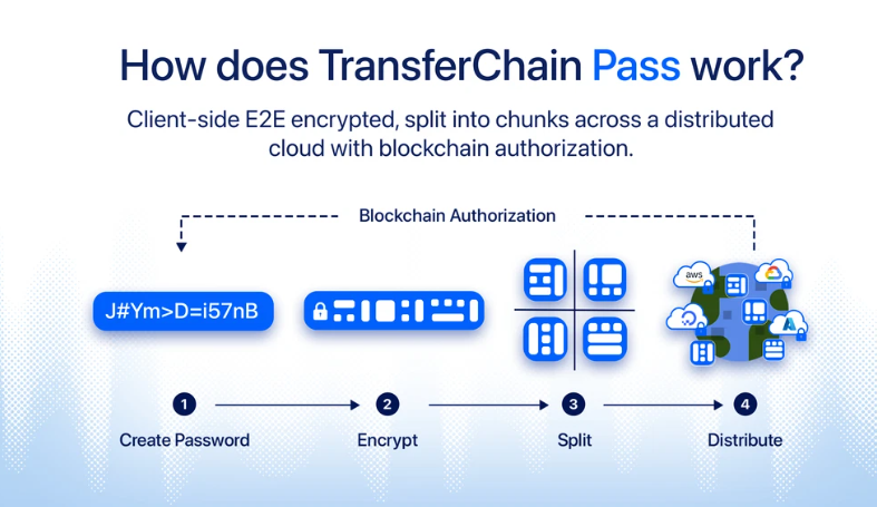 TransferChain Pass Review